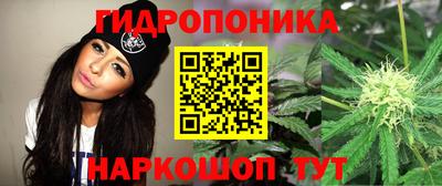 дурь Будённовск