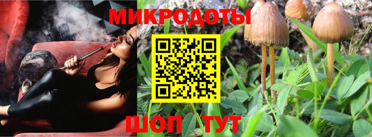 Ярославль  Галлюциногенные грибы Cubensis  Вход с VPN 